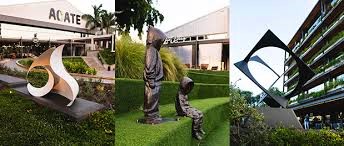 A capital de Marrocos, Rabat, volta a afirmar-se como epicentro da criatividade urbana africana com a realização da 11ª edição do Festival de Arte de Rua JIDAR, um evento que converte edifícios em verdadeiras telas gigantes e aproxima a arte do quotidiano das comunidades.