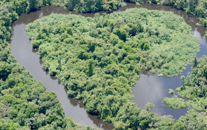 CIÊNCIA E SABERES DA FLORESTA UNEM-SE PARA PROTEGER A BIODIVERSIDADE DA AMAZÓNIA EM RONDÔNIA